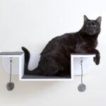 wall shelves for cats photo ideas