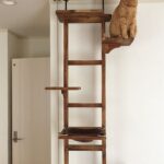 wall shelves for cats types of photos