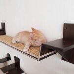 wall shelves for cats photo types