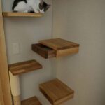 wall mounted shelves for cats types of ideas