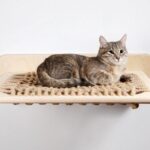 wall mounted shelves for cats ideas types