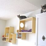 wall mounted shelves for cats overview