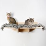 wall mounted shelves for cats types of designs