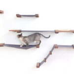 wall mounted shelves for cats