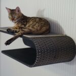 wall mounted shelves for cats photo design