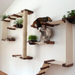 wall mounted shelves for cats decor