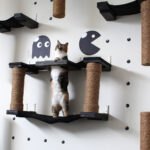 wall shelves for cats decor photo