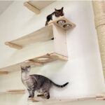 wall mounted shelves for cats