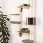 wall shelves for cats design photo