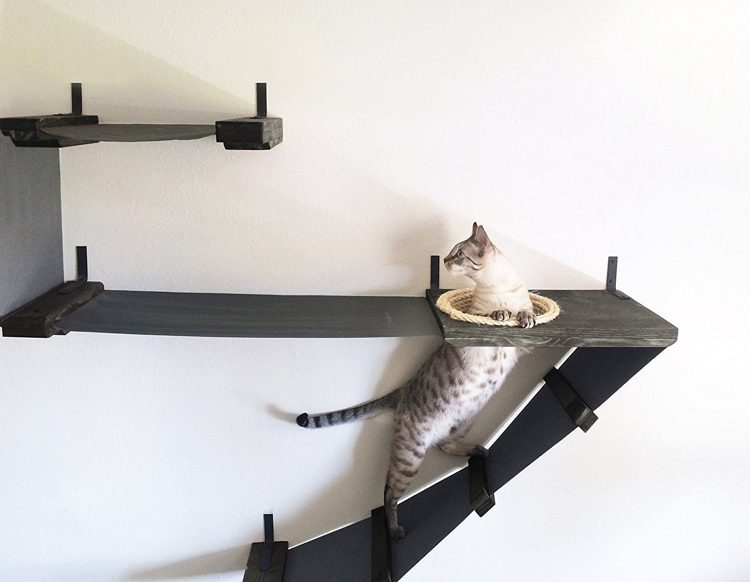 wall mounted shelves for cats design ideas