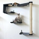 wall shelves for cats photo decor