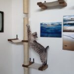 wall shelves for cats photo decor