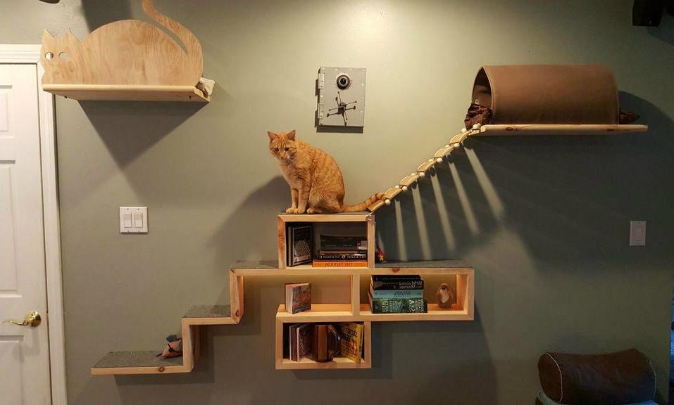 wall mounted shelves for cats photo design