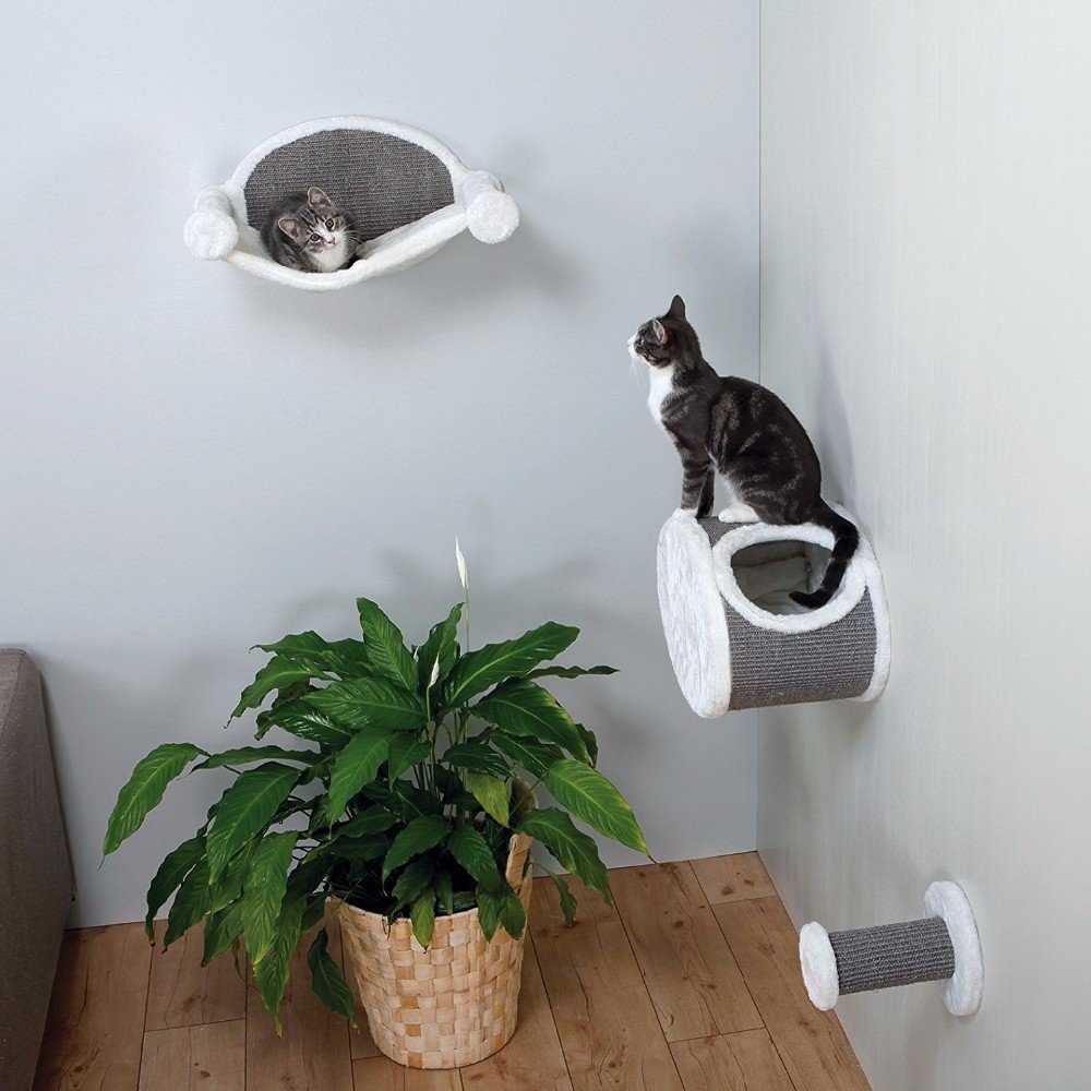 wall shelves for cats