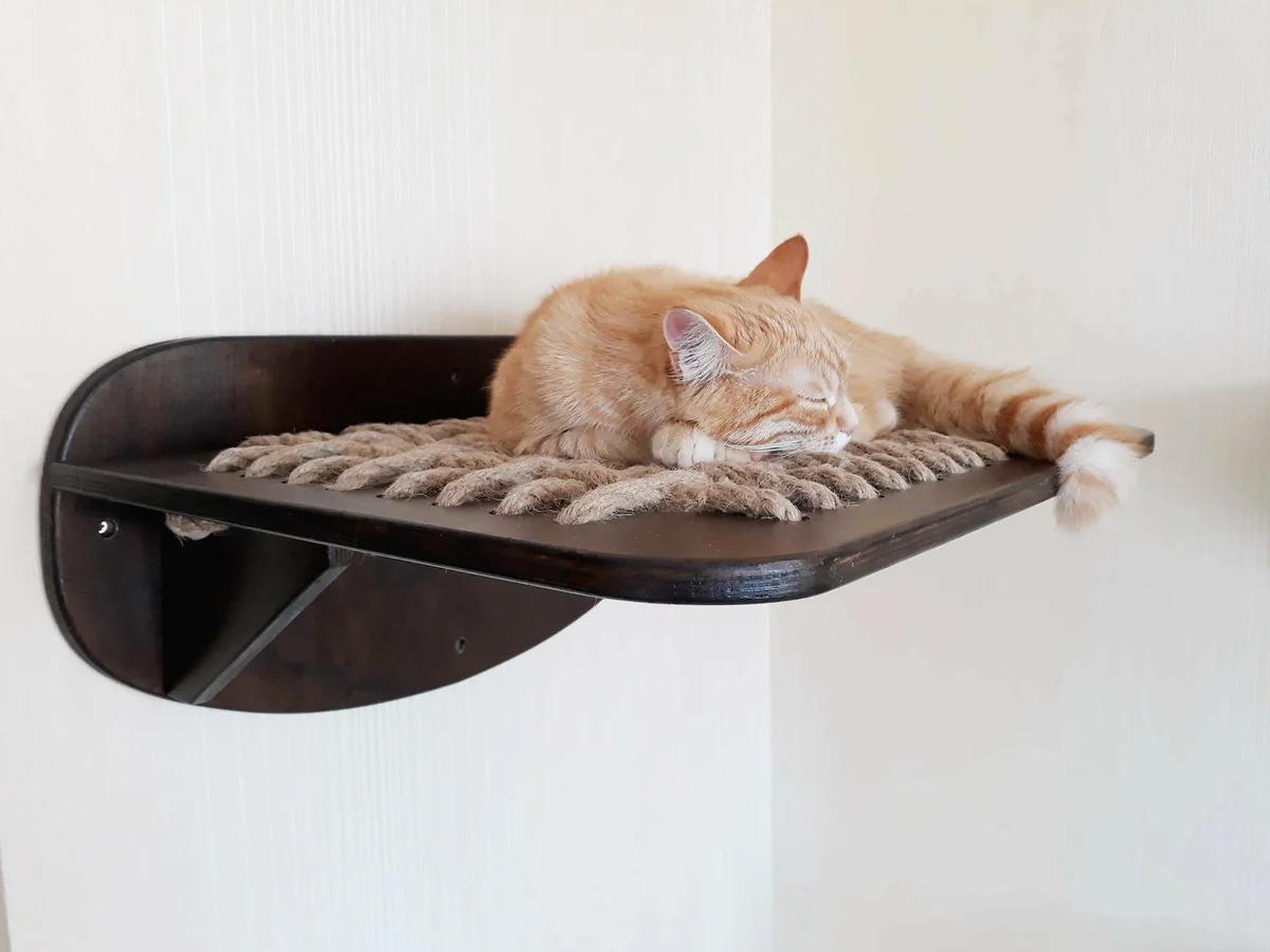 wall mounted shelves for cats design ideas