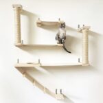 wall shelves for cats photo ideas