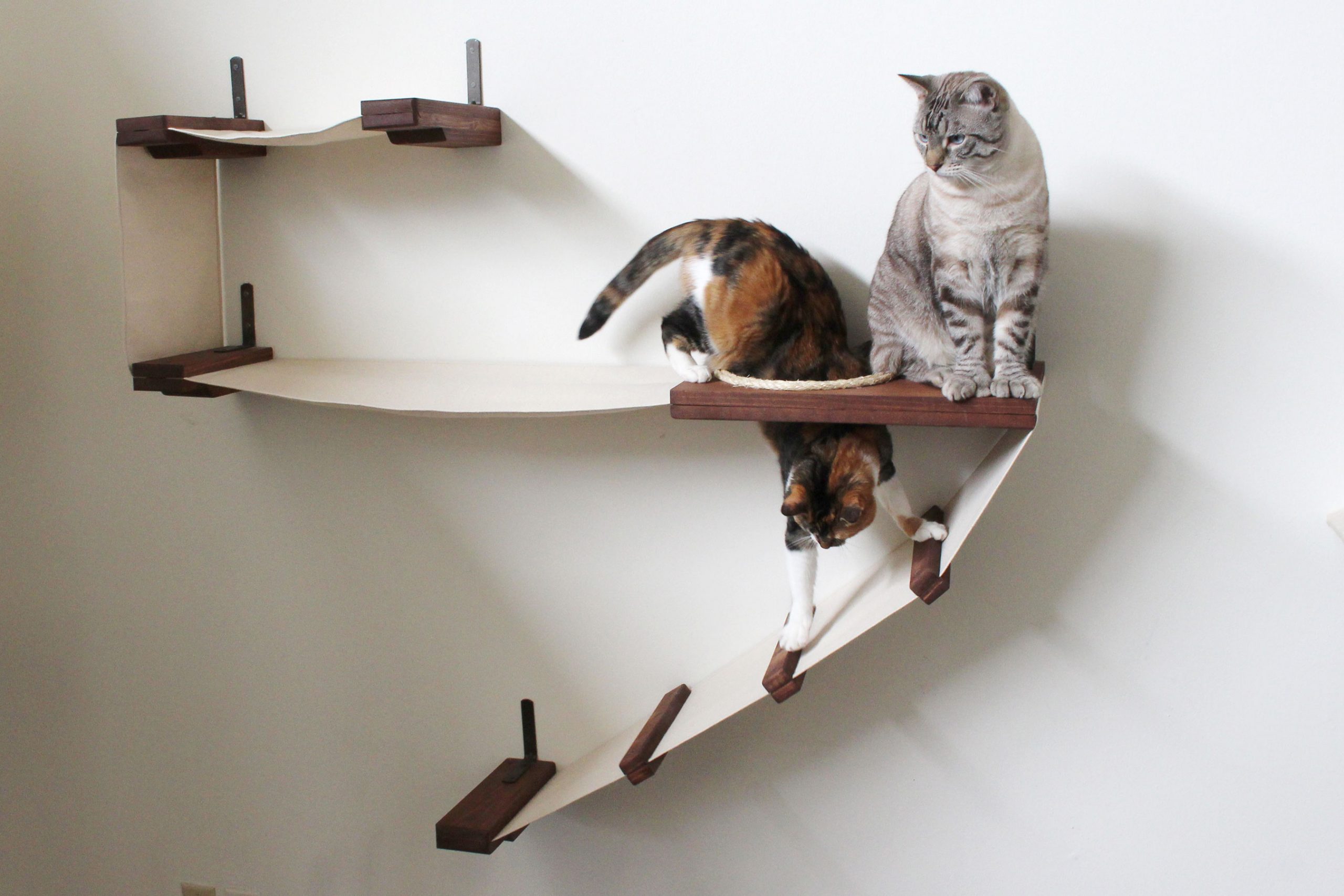 wall mounted shelves for cats ideas