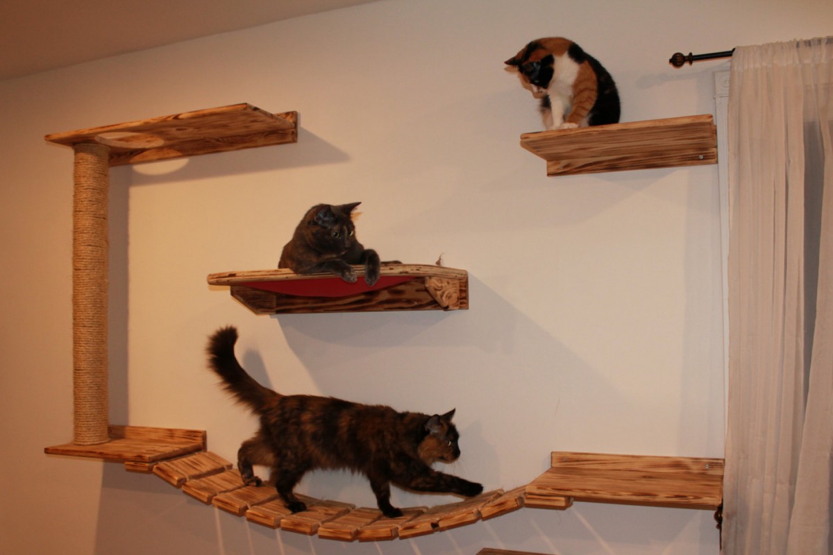 DIY wall shelves for cats made of wood