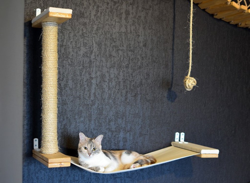 Wall mounted shelves for cats decoration