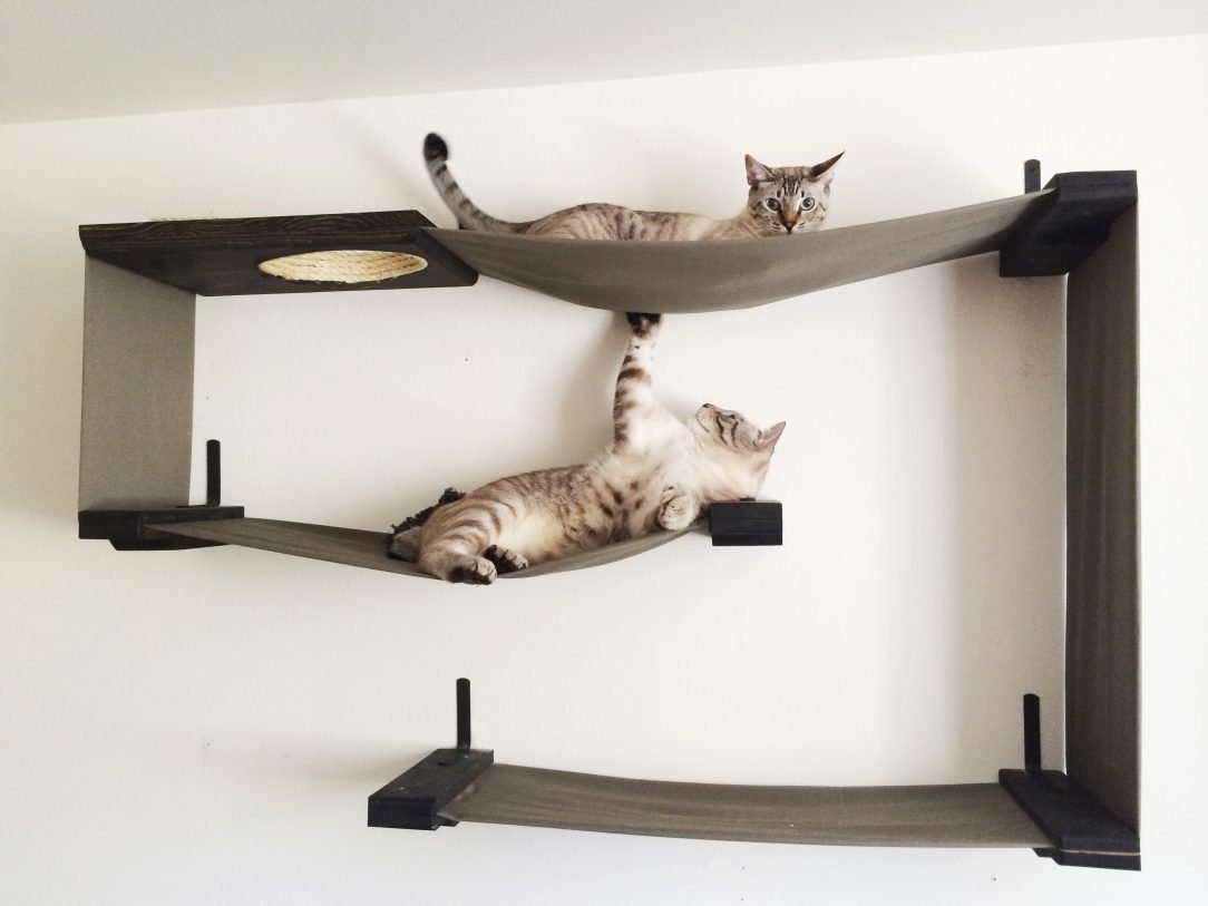 wall shelves for cats