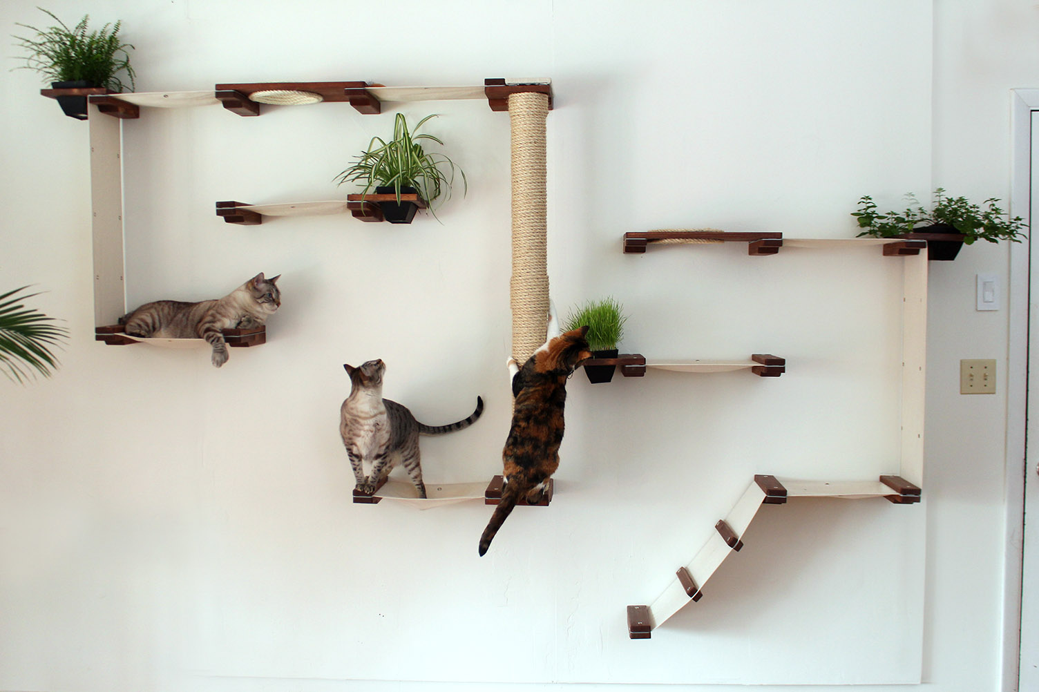 wall shelves for cats