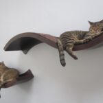 shelf for cats