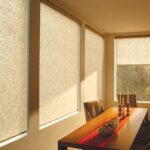 roller blinds blackout types of ideas