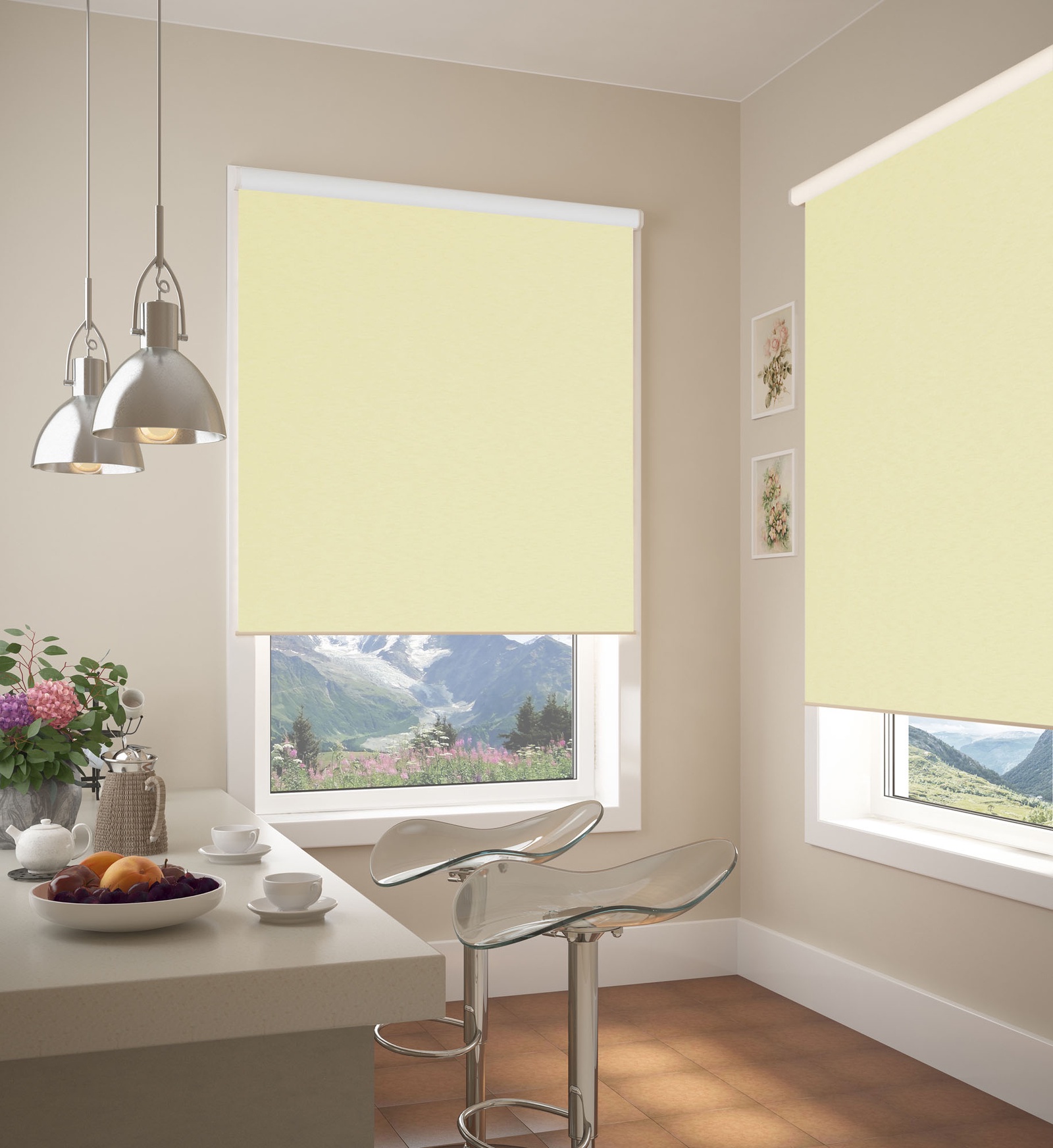 roller blinds blackout photo