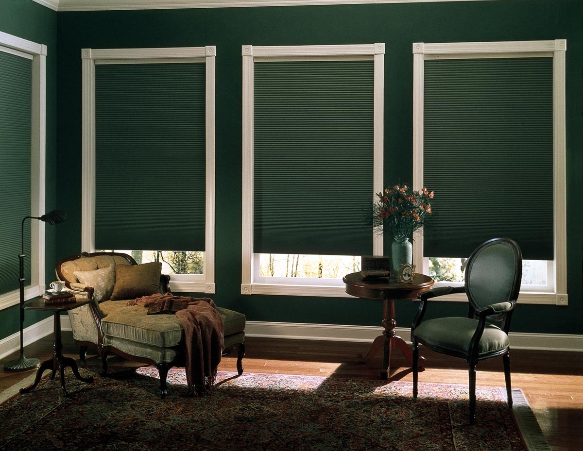 roller blinds blackout photo ideas