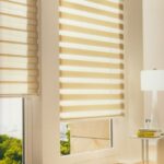 roller blinds day night ideas types