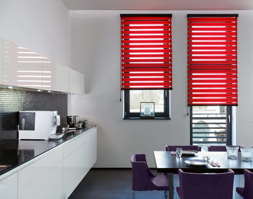 roller blinds day night design