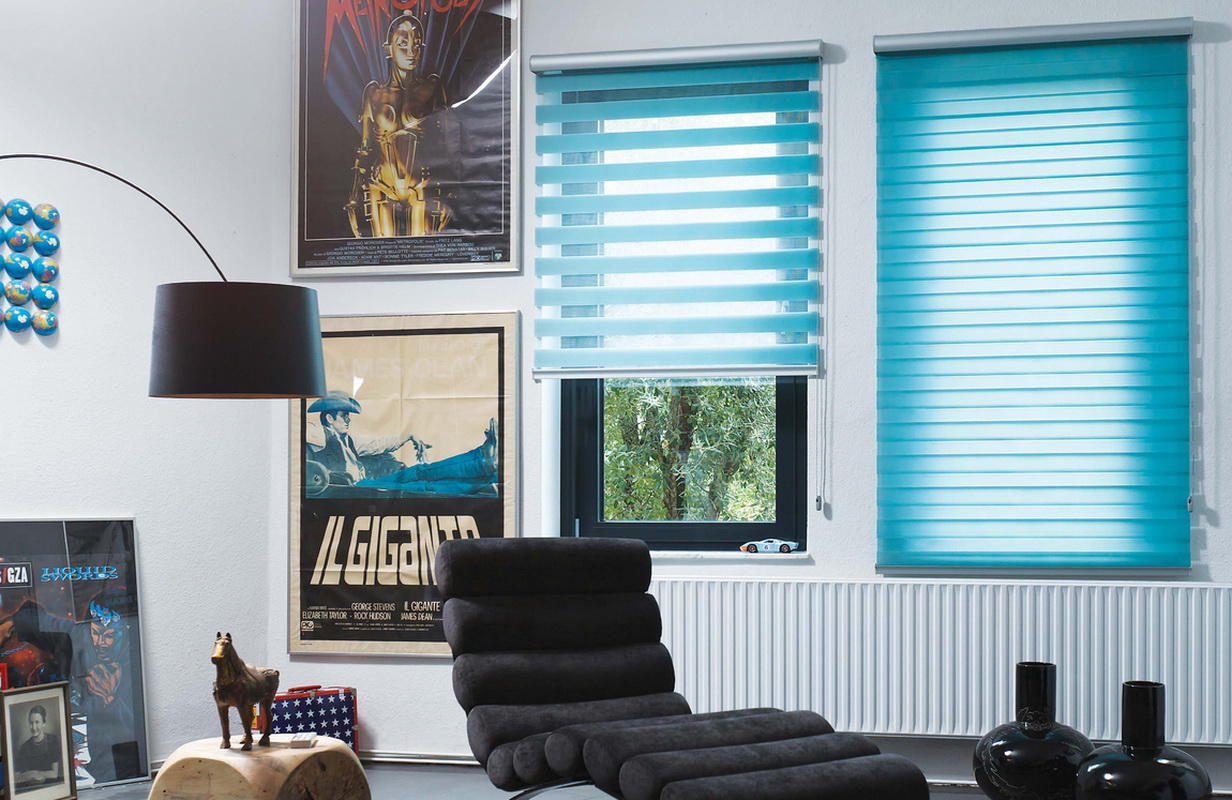 roller blinds day night ideas