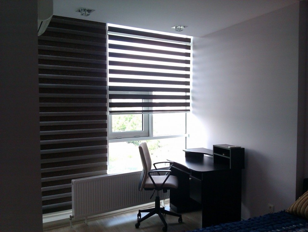 roller blinds zebra design