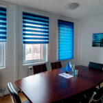 roller blinds zebra photo types