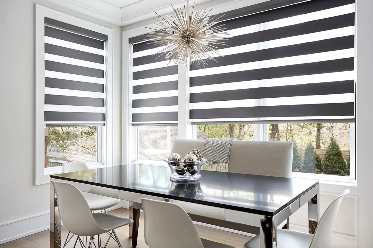 zebra roller blinds design ideas