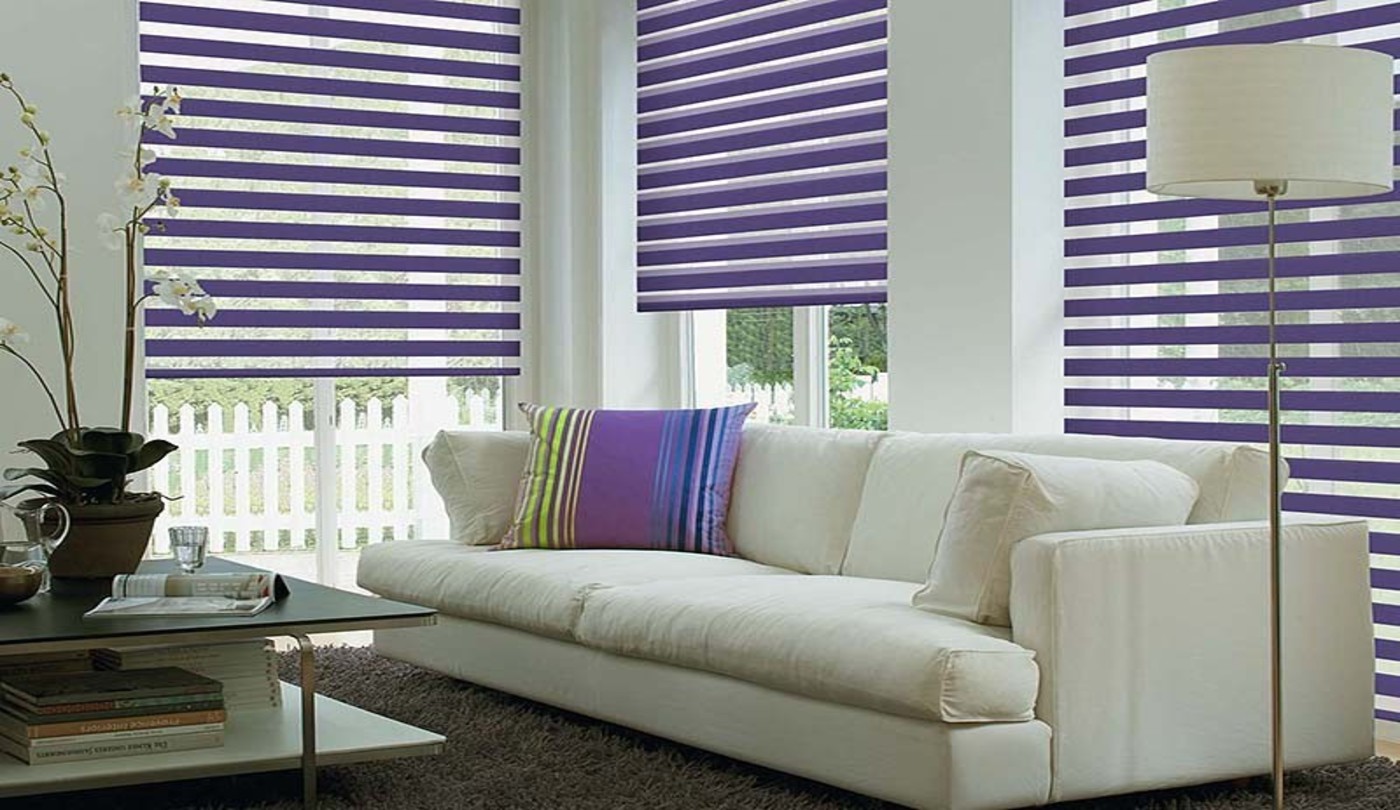 roller blinds zebra ideas