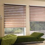 roller blinds zebra types photo