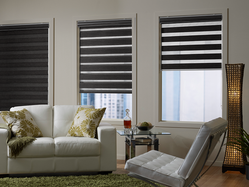 roller blinds zebra