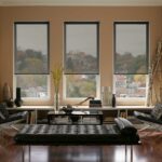 transparent roller blinds