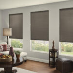 roller blinds gray