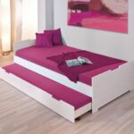 pull-out bed raspberry