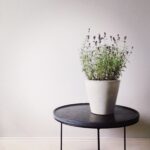 concrete furniture flowerpot