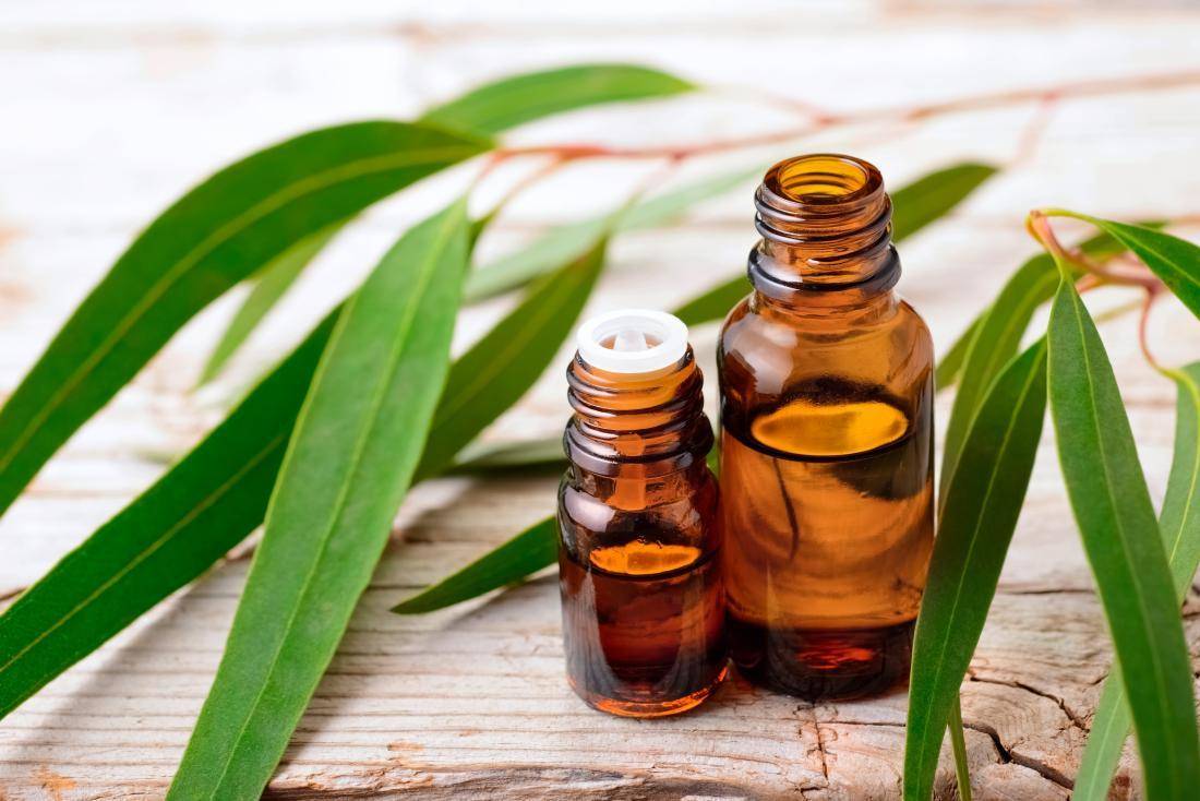 eucalyptus essential oil