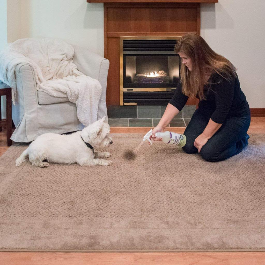 cleaning with folk remedies