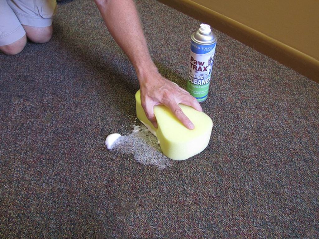 carpet cleaning photo