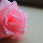 pink rose from napkins