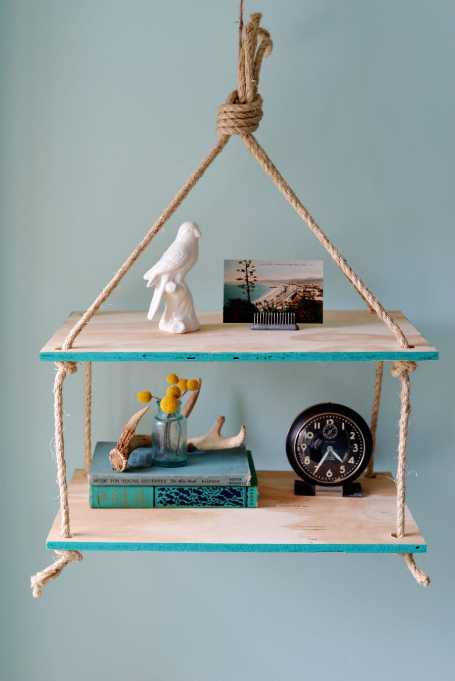 shelf with bird