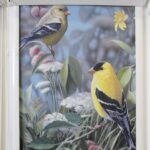 roller blinds birds