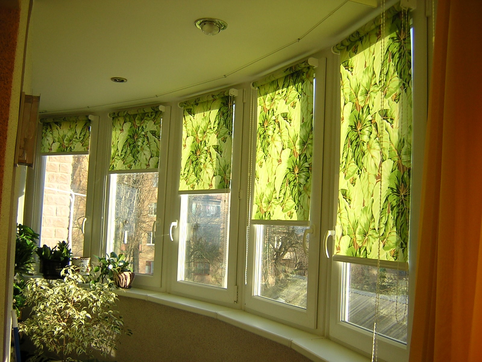 roller blinds grass