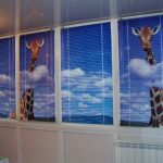 roller blinds giraffe